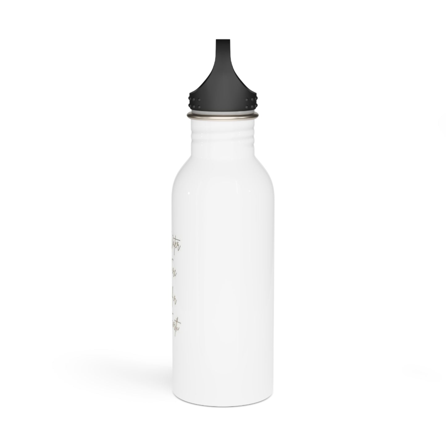 Stainless Steel Water Bottle